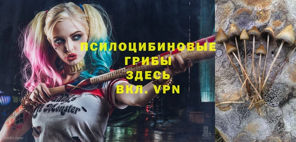 прущая мука Арсеньев