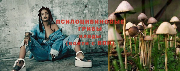 спиды Алзамай
