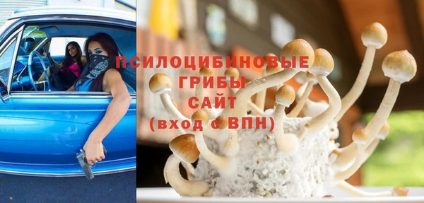 амф Алексеевка