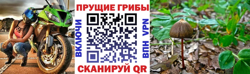 hydra онион  Юрьевец  Галлюциногенные грибы прущие грибы 